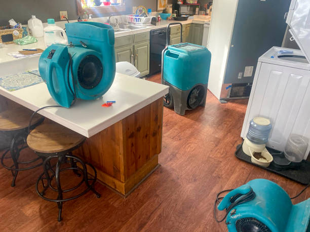 Best Emergency water damage restoration  in Green Hill, TN