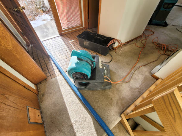Best Residential water damage restoration  in Green Hill, TN