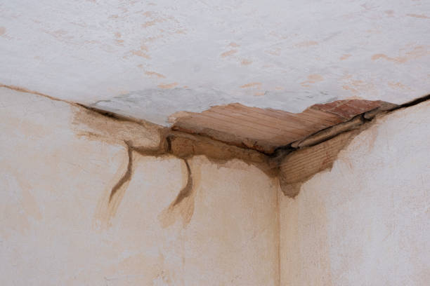 Best Water damage contractors near me  in Green Hill, TN