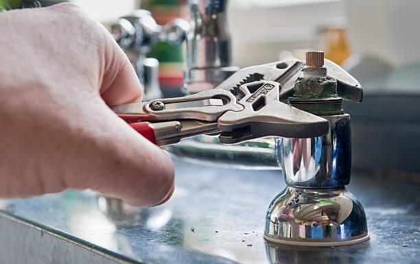Best Flood damage cleanup  in Green Hill, TN