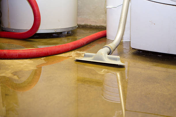 Best Mold removal after water damage  in Green Hill, TN