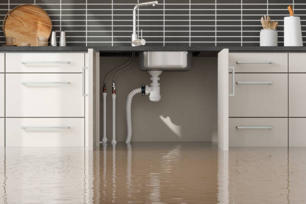 Best Commercial water damage restoration  in Green Hill, TN